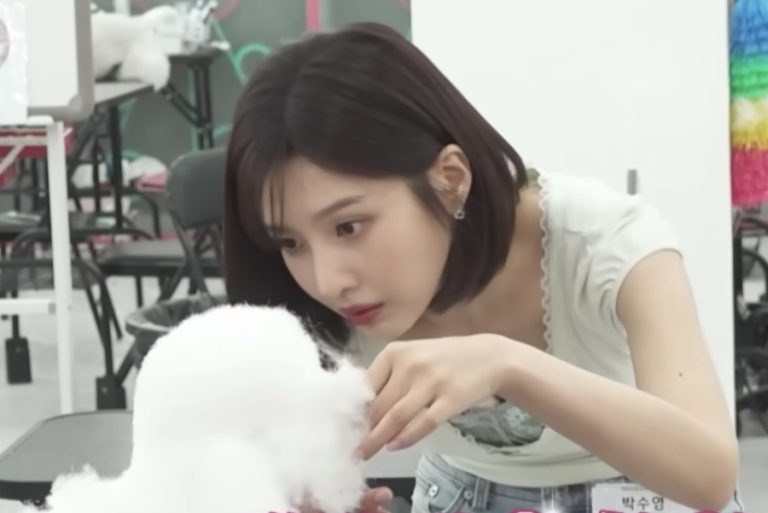 Watch: Red Velvet’s Joy Reveals She’s Studying For A Pet Grooming Certification In “Home Alone” Preview缩略图