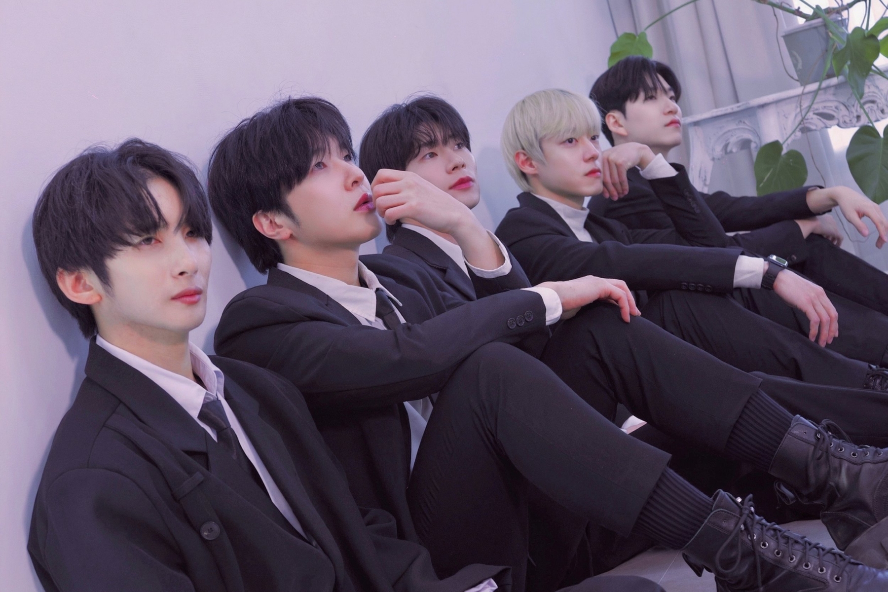 VVS Disbands After 3 Years缩略图